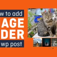 How to Create Image Slider in Wordpress